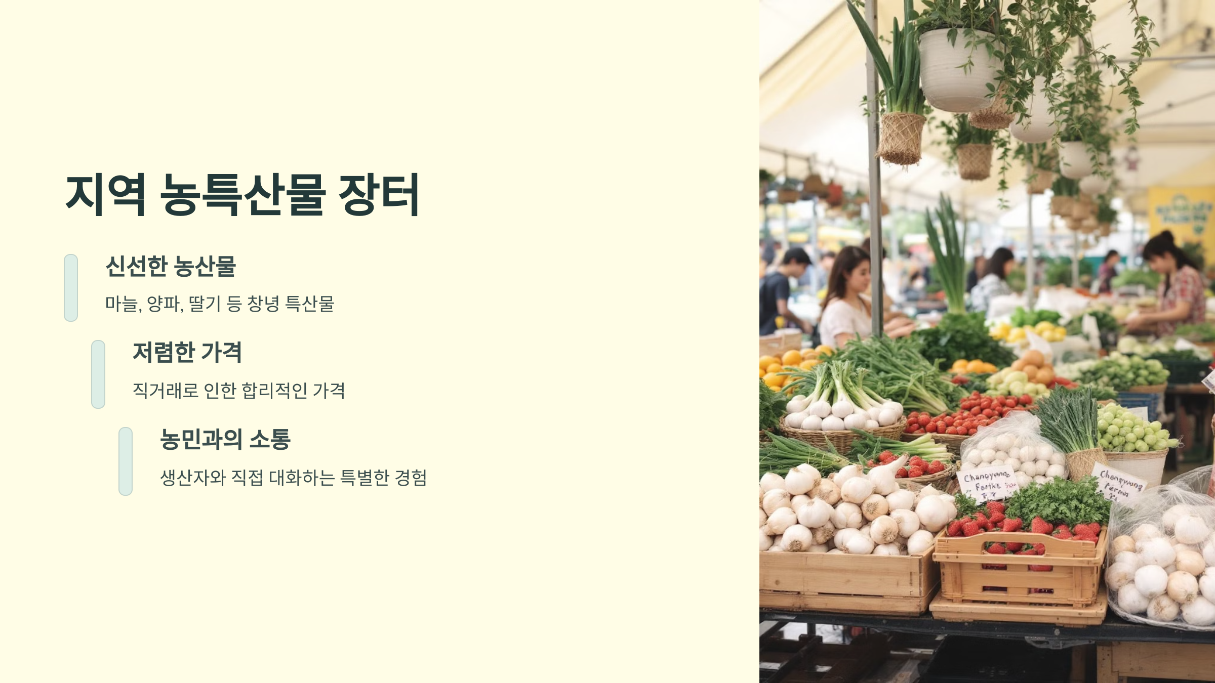 창녕에서 즐기는 2025 낙동강유채축제, 봄을 걷다