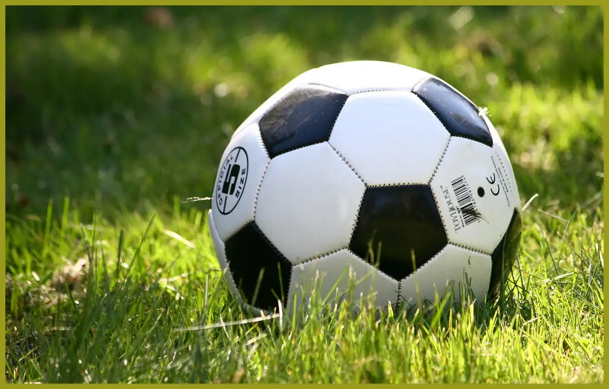 축구 중계방송 바로보기 (한국 팔레스타인)