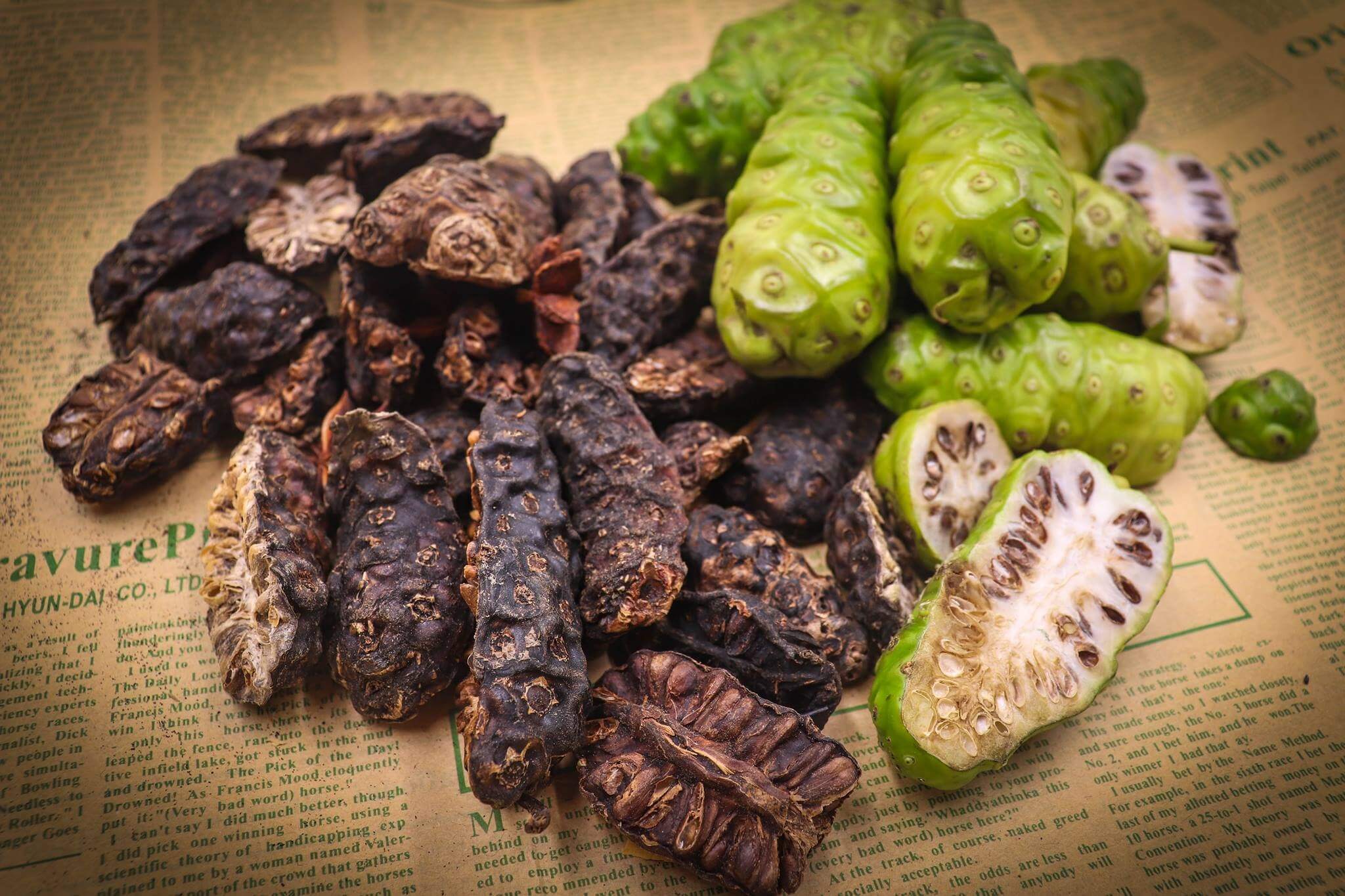 노니 효능 부작용 분말 복용법 26