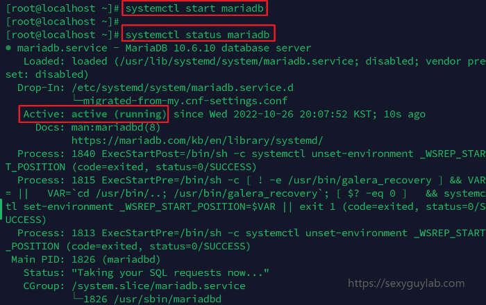 MariaDB 서비스 시작 및 상태 확인