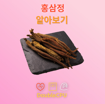 홍삼정 탐구