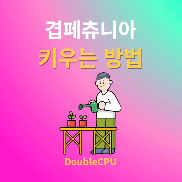 겹페츄니아 키우기 물주기