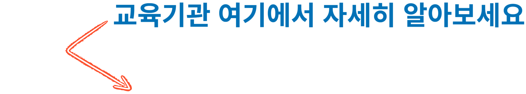 장애인 활동지원사 사진
