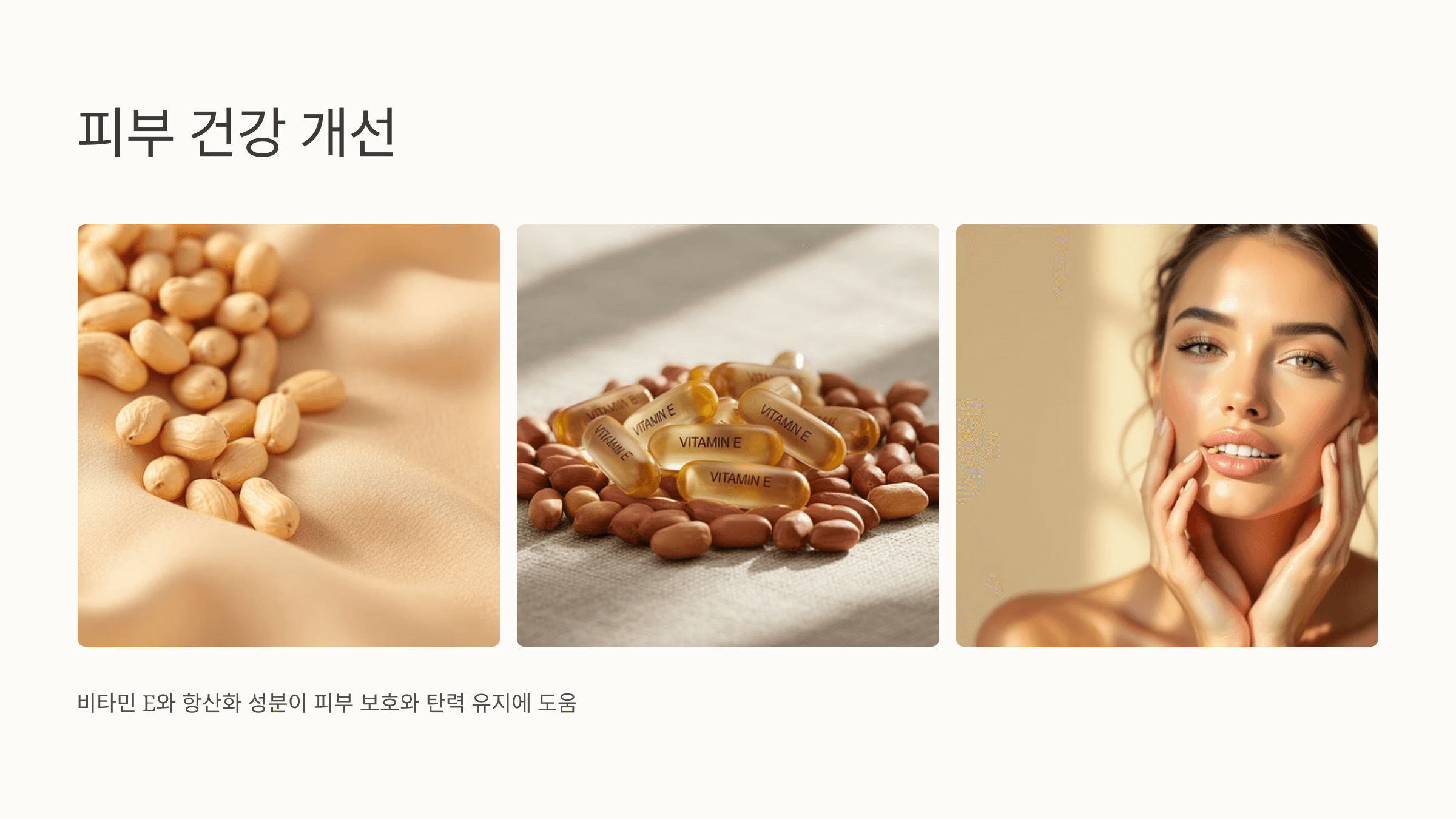 땅콩 사진입니다.