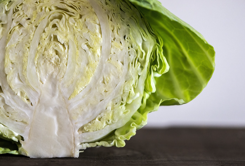 동그란-공-슈퍼푸드-양배추