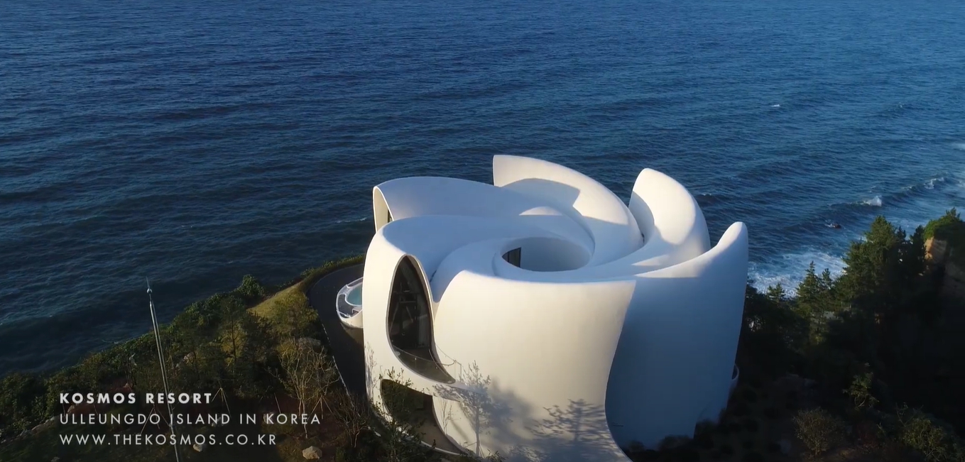 코스모스 울릉도