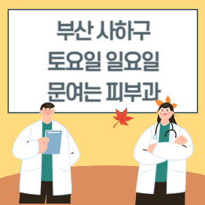 부산 사하구 토요일 일요일 피부과 진료 병원 리스트-