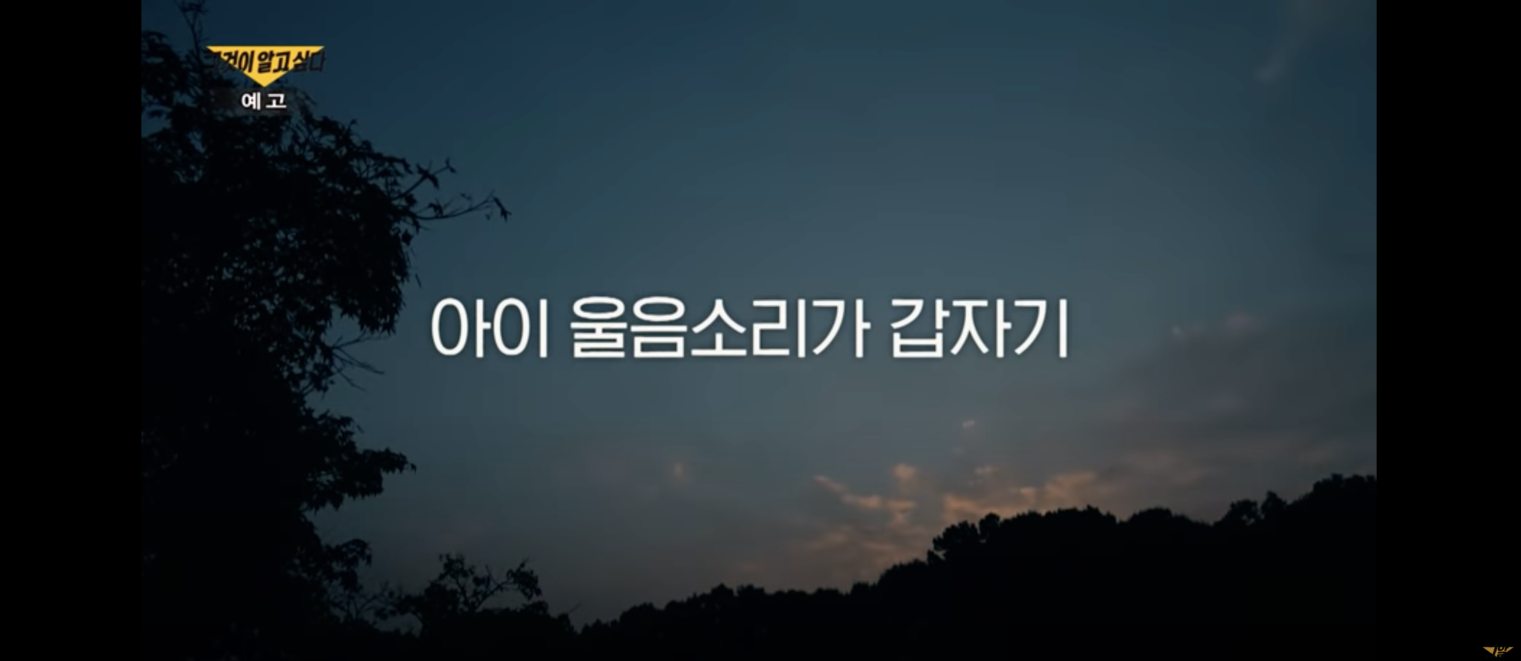 그것이 알고싶다 악마의 세번째 서식지 20개월 영아 사망사건