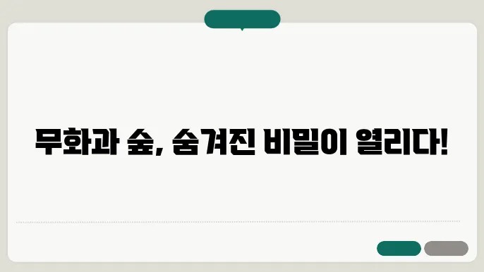 무화과 숲