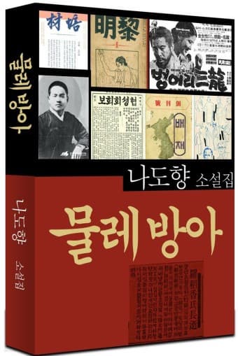 나도향의 '물레방아'