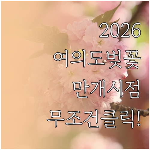여의도 벚꽃 만개 시점과 2026년 ..