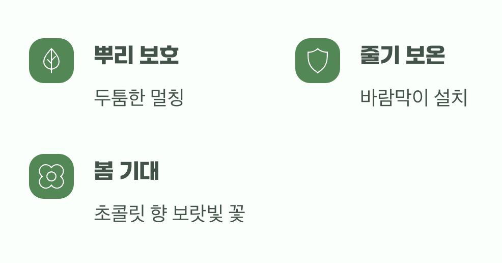 이제 안심하고 봄을 기다리세요