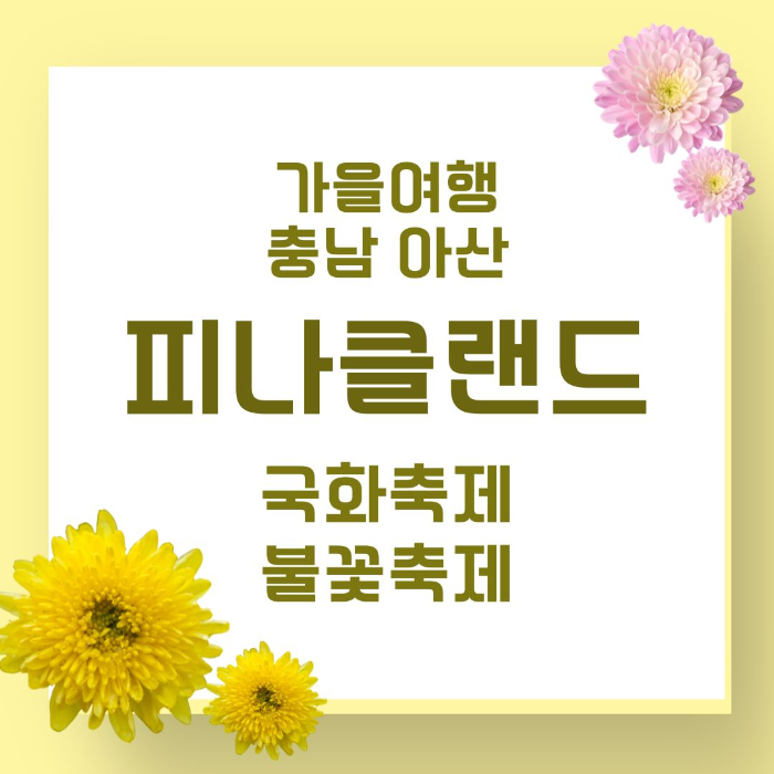 피나클랜드/국화축제/불꽃축제
