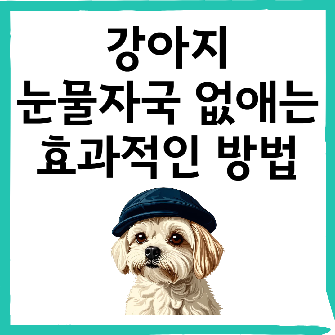 강아지 눈물자국 없애는 꿀팁: 집에서 시작하는 건강한 관리법