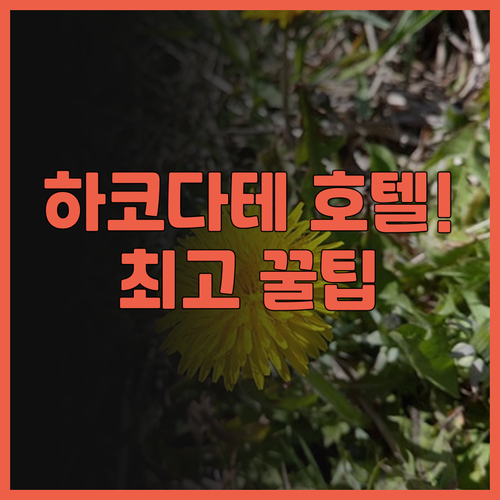 프리미어 호텔 캐빈 프레지던트 하코다..