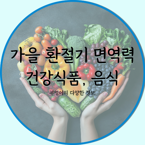 가을 환절기 면역력 챙기는 건강식품 & 음식 추천 TOP 10