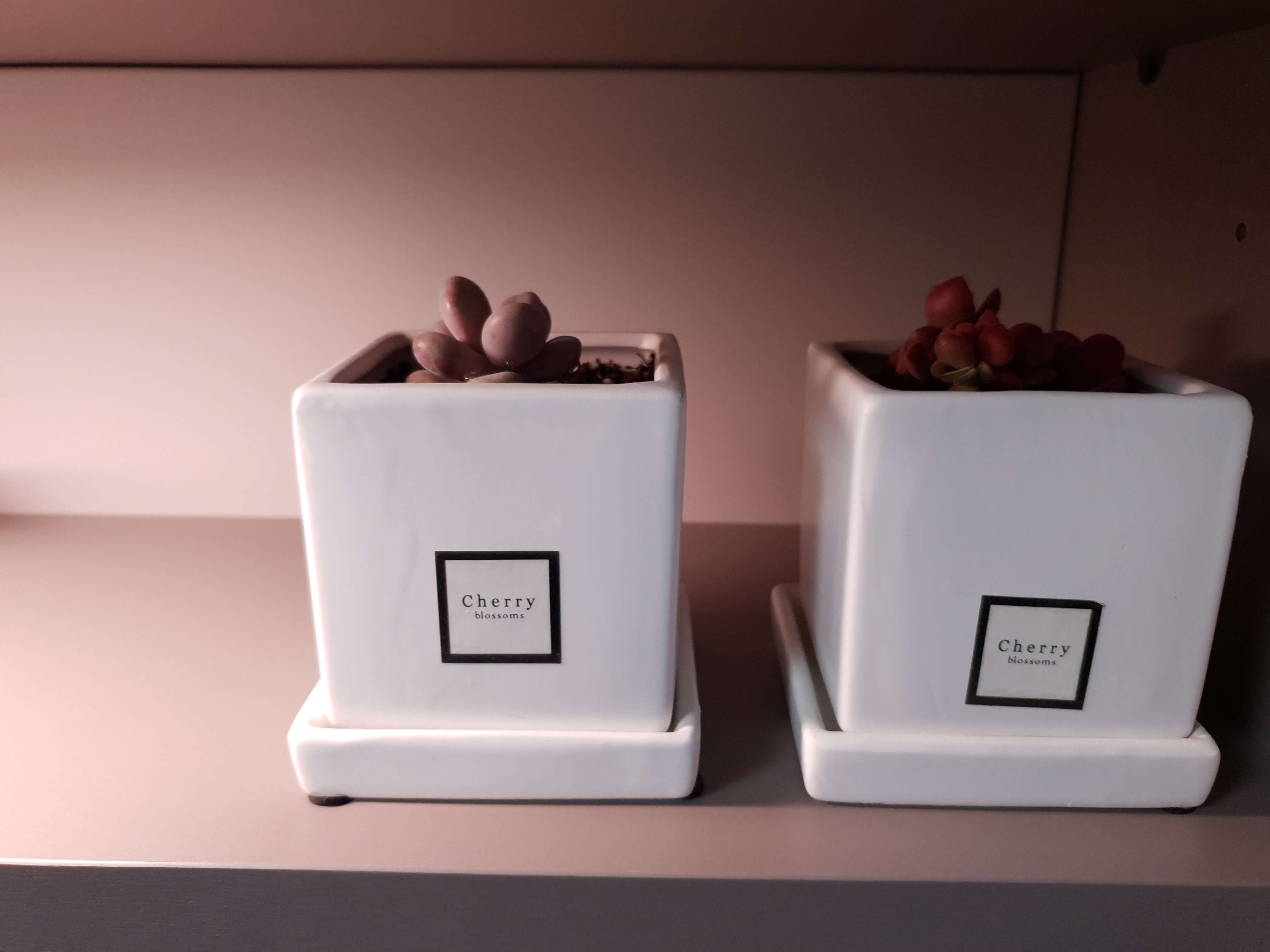 일룸-로이책상-선반-사진