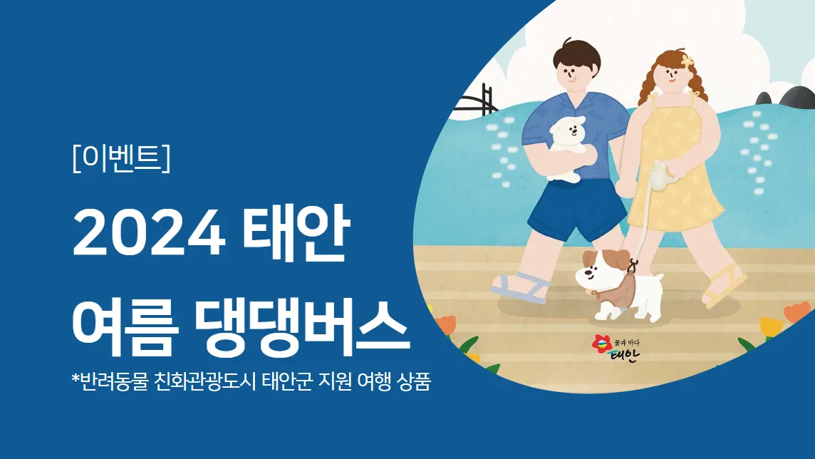 태안 여름 댕댕버스