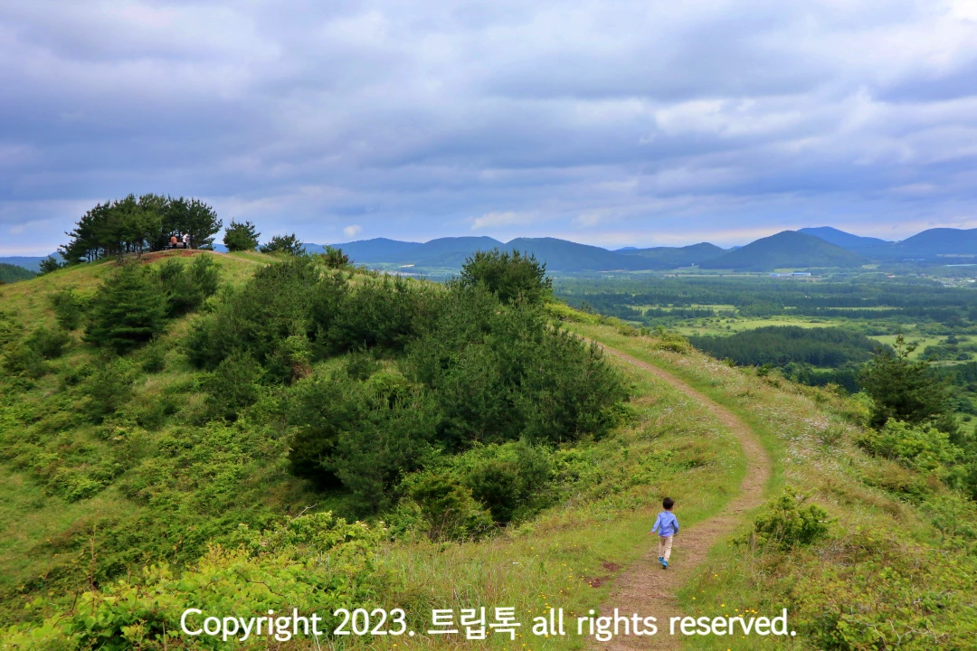 오른쪽으로 완만하게 구부러진 길을 걷는 아이가 있다. 길 옆에는 초록 나무와 연두색 잔디가 보인다.