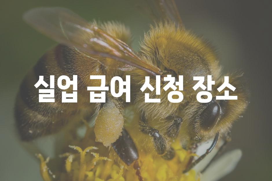 API 할당량 초과 오류 9