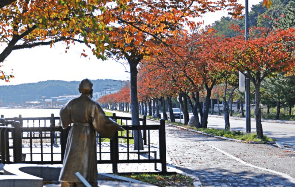 강릉 경포대 단풍