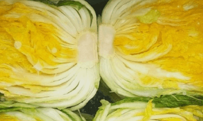 김장김치 양념 맛있게 만드는 방법