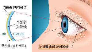마이봄샘