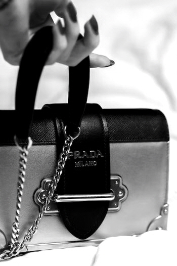 프라다 정품 가방을 들고 있는 모습