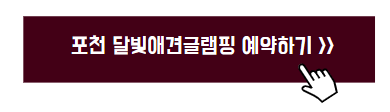 강아지 동반 여행지 추천