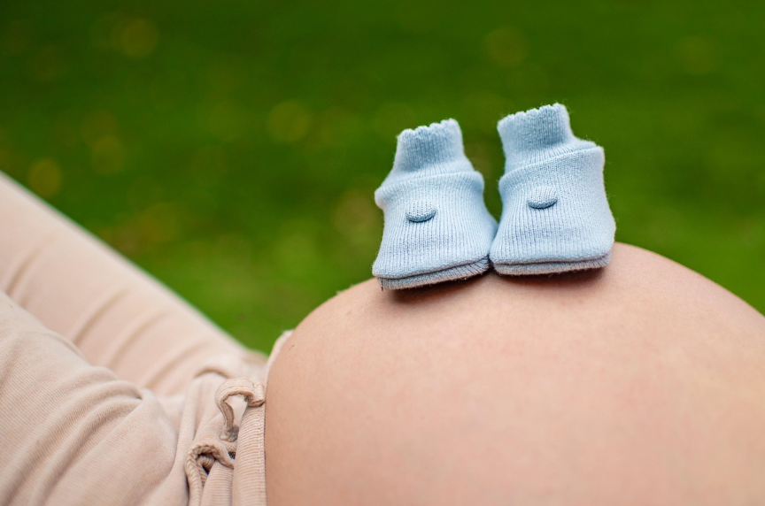 농수산꾸러미 신청법