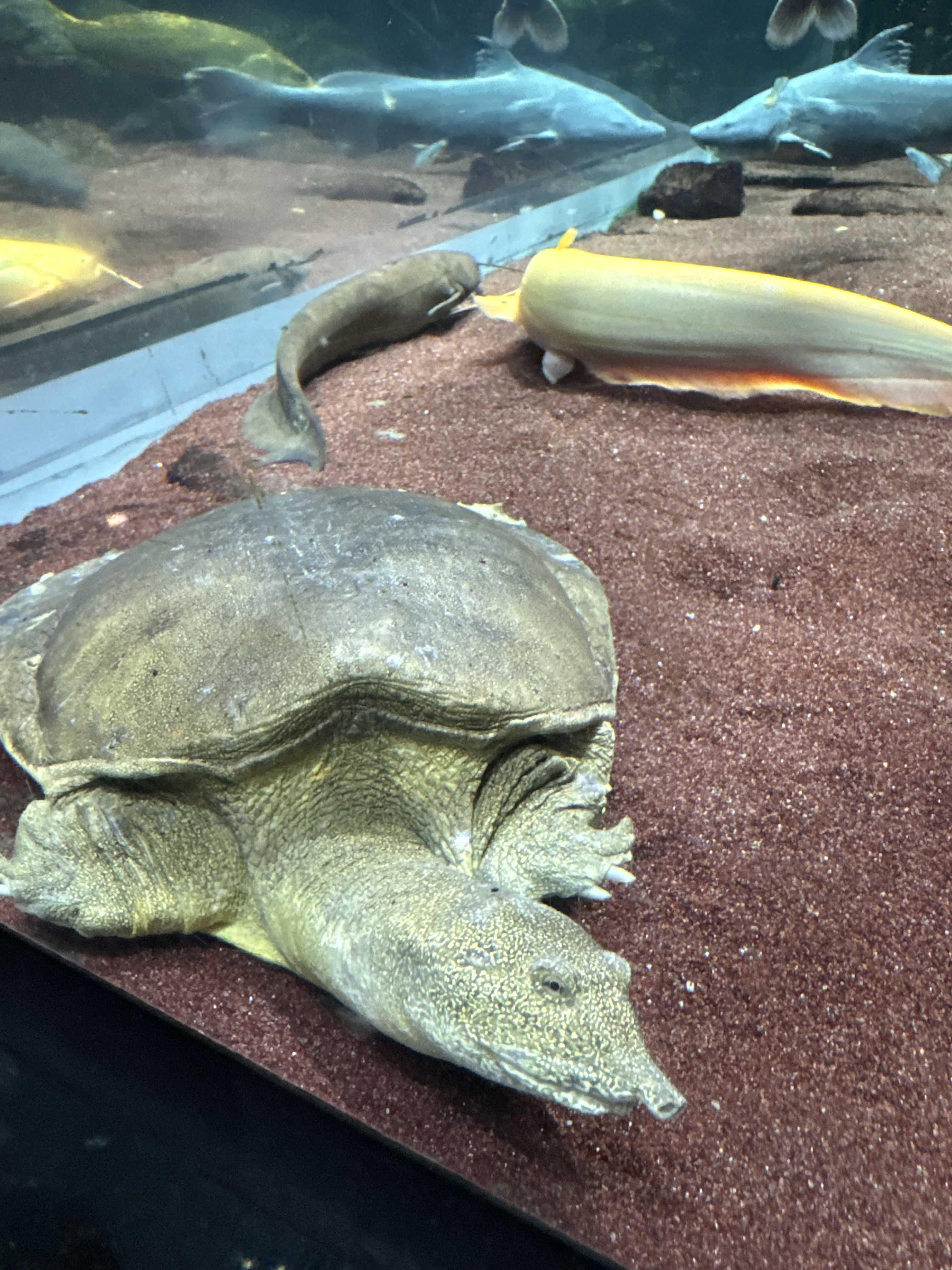 충북 단양 여행