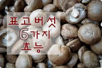 표고버섯 효능_18