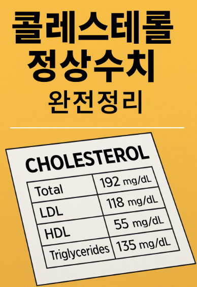 콜레스테롤 정상수치
