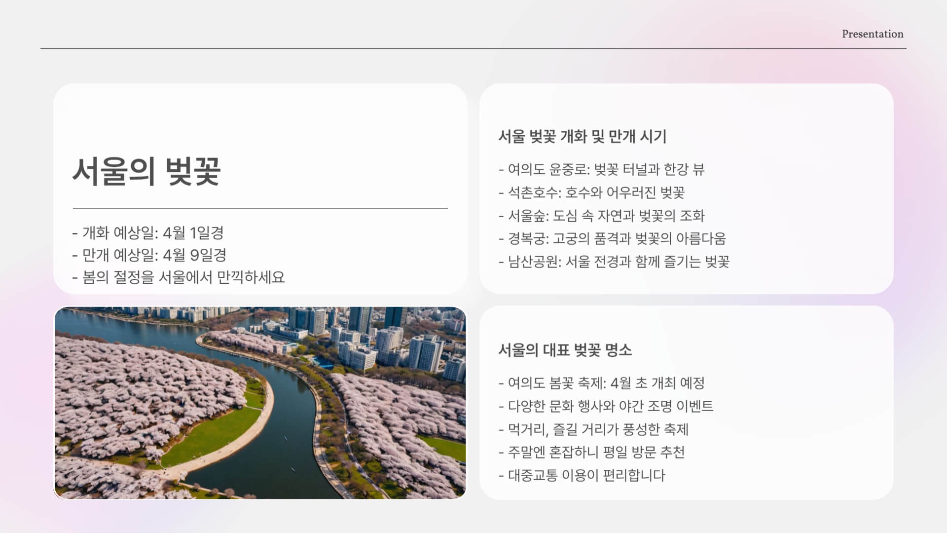 벚꽃 개화 및 만개