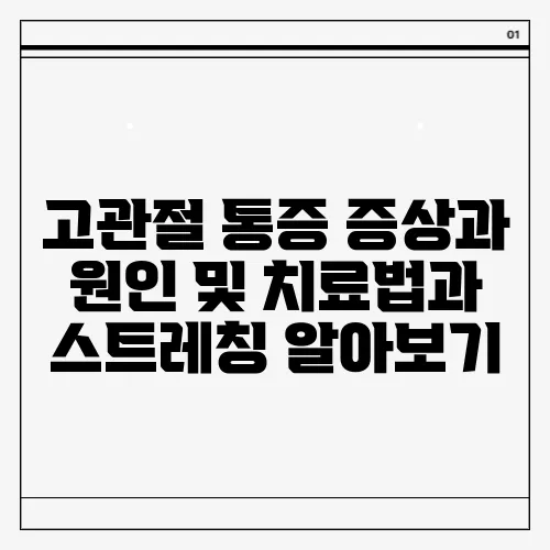 고관절 통증 증상과 원인 및 치료법과 스트레칭 알아보기