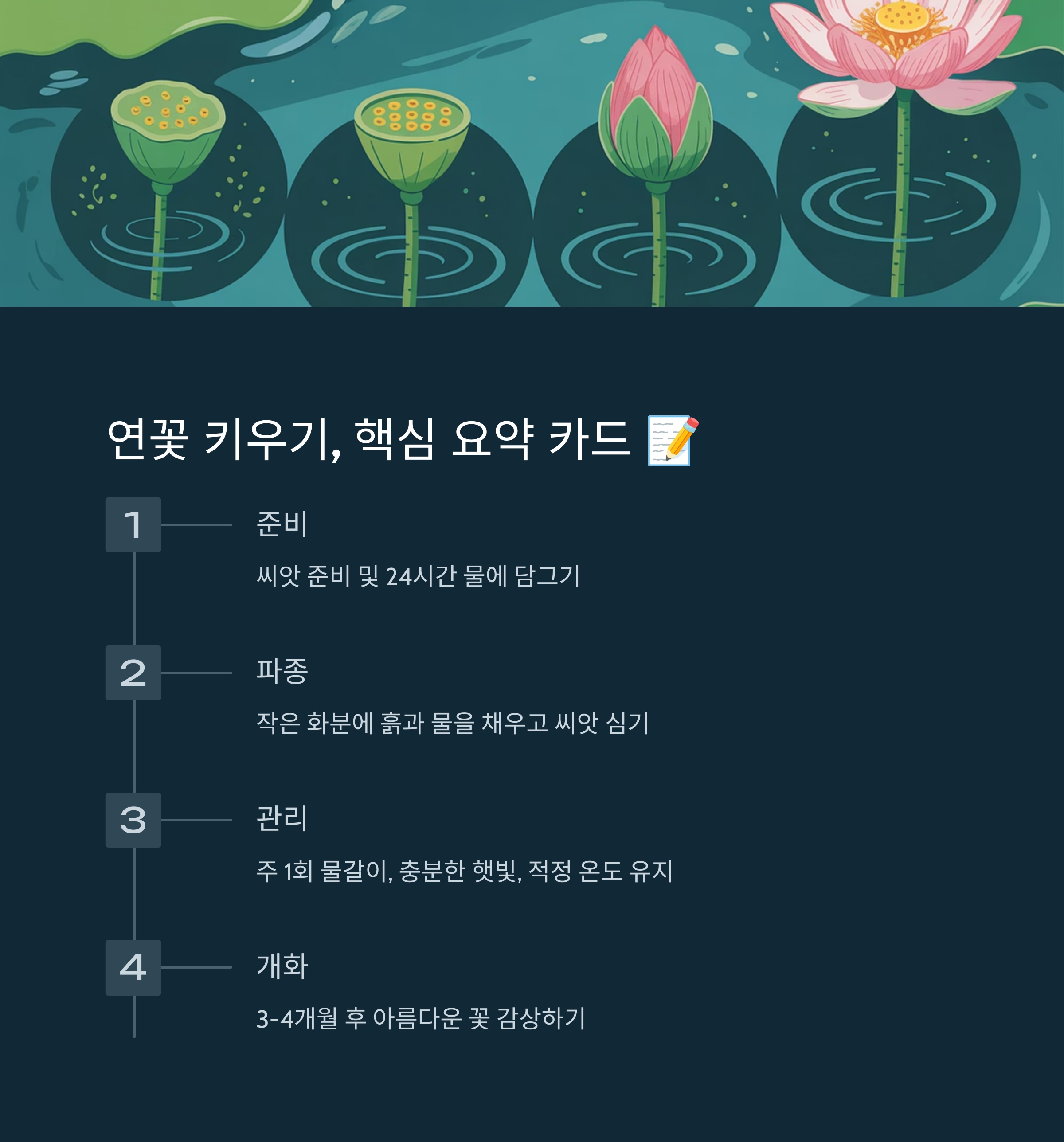 연꽃 키우기, 핵심 요약 카드