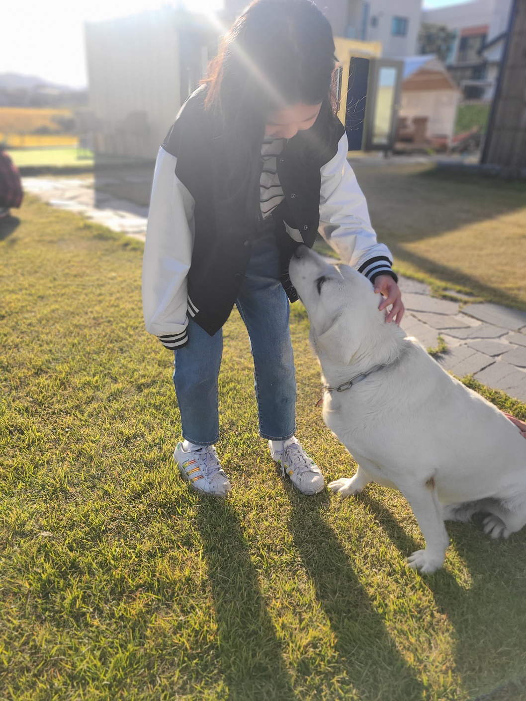 카페논에서 만난 강아지