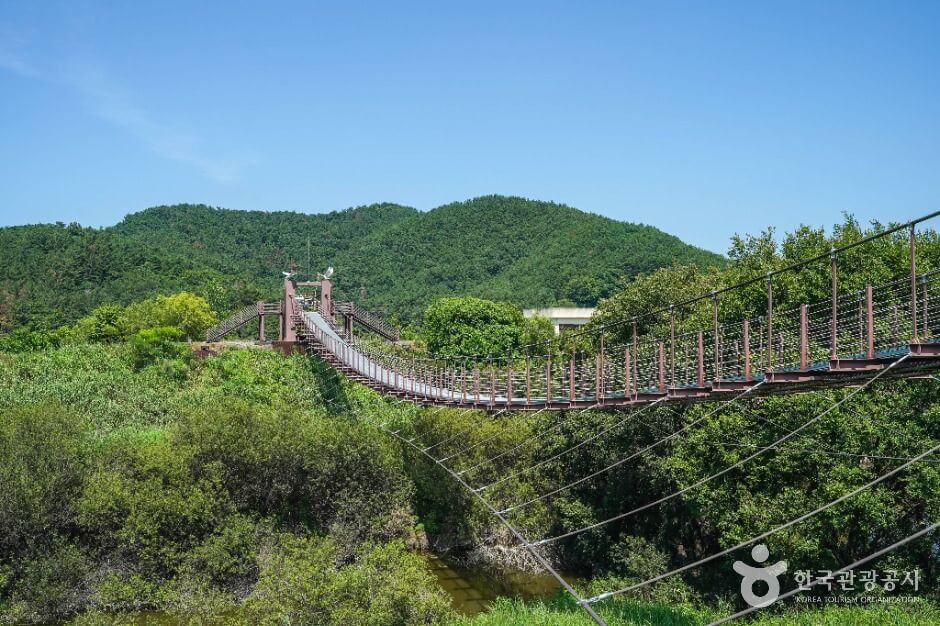 우포 출렁다리