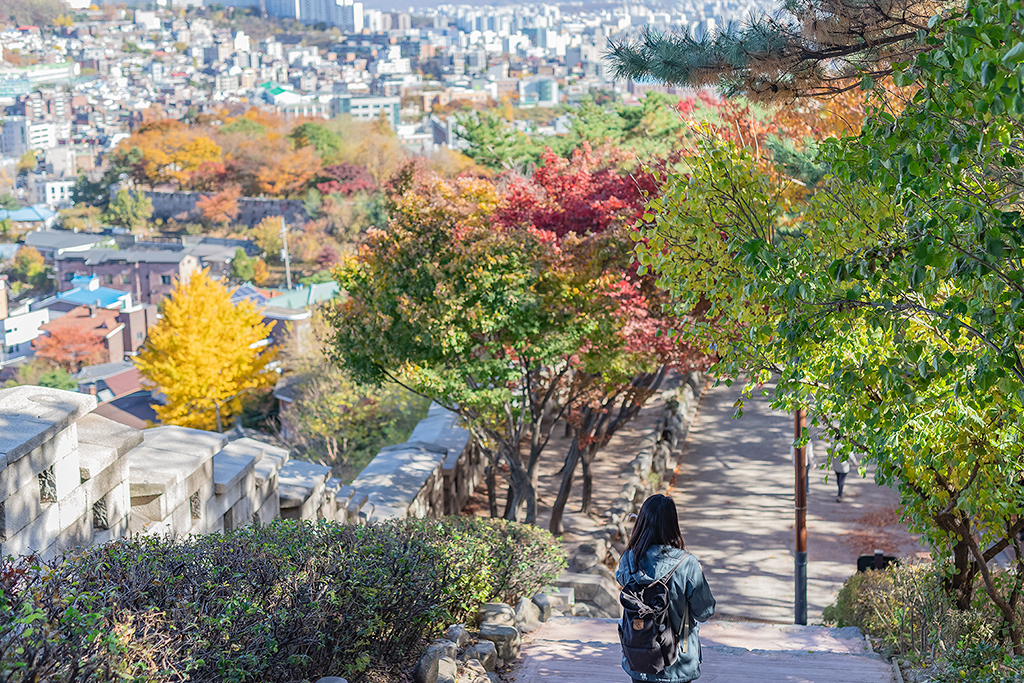 혜화문
성북동
한양도성길
백악구간
서울여행
서울단풍
가을단풍
단풍
성벽
와룡공원