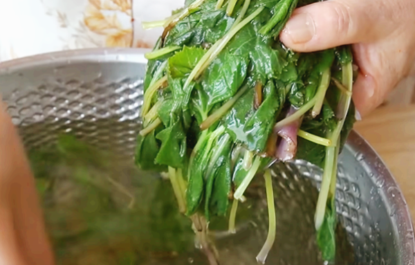 차가운 물에 헹궈