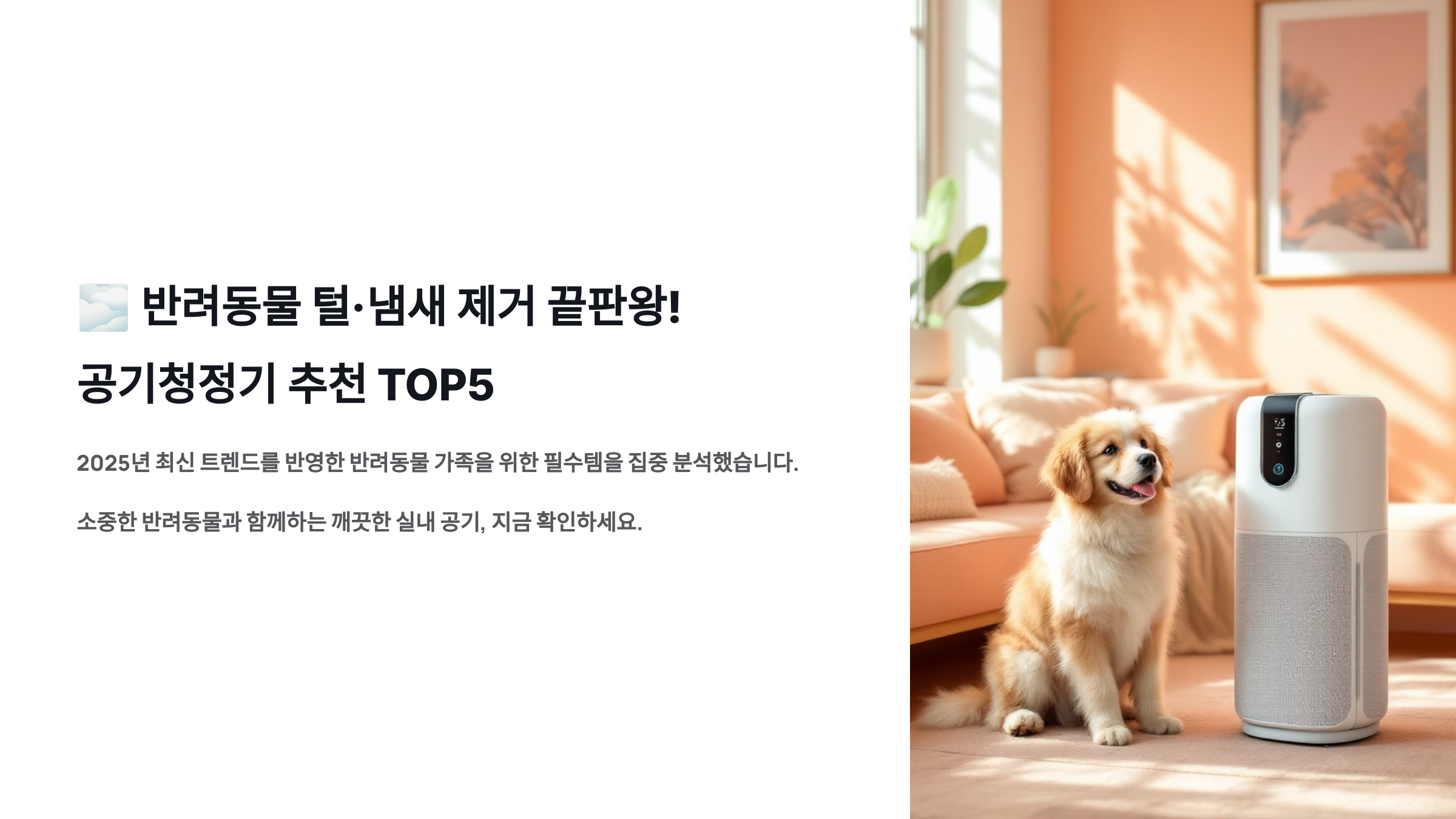 반려동물 털·냄새 제거 끝판왕! 공기청정기 추천 TOP5