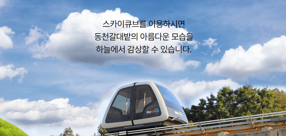 순천만 국가정원 스카이큐브 탑승권 운행시간 요금 왕복권 편도권 티켓 예매