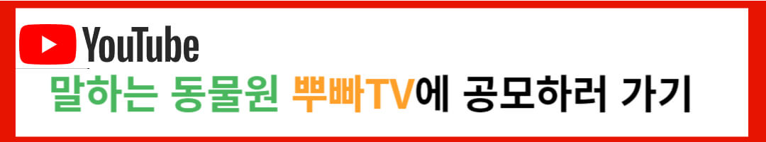 에버랜드 쌍둥이 아기판다 이름공모 참여방법