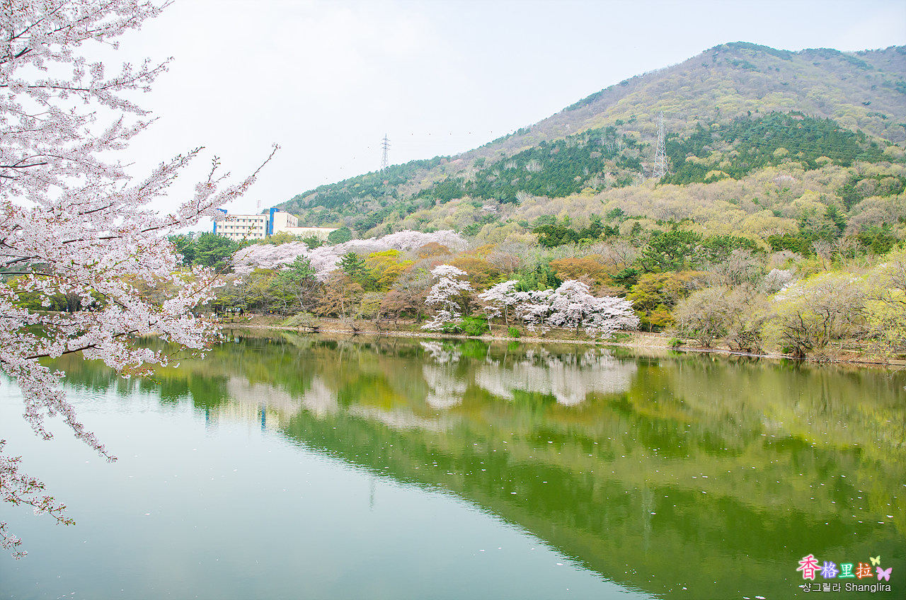 진해 내수면생태공원 캠핑장