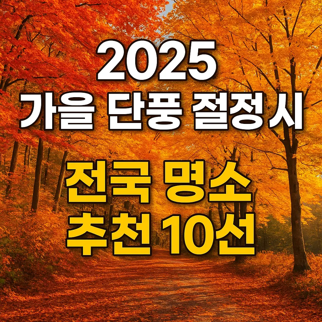2025년 가을 단풍 절정 시기 + 전국 단풍 명소 10선