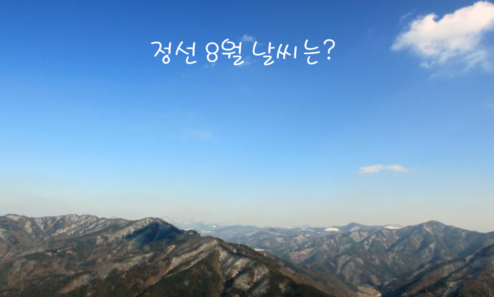 정선