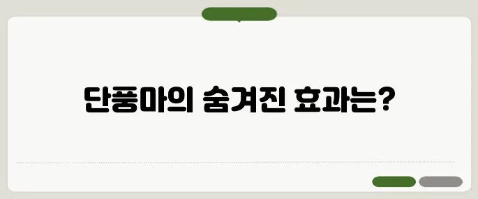 단풍마 효능 건강정보 총정리