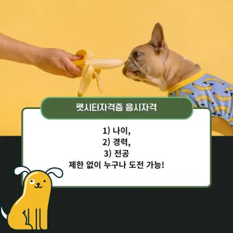 펫시터 자격 취득요건 교육기관 업무범위 수입전망_2
