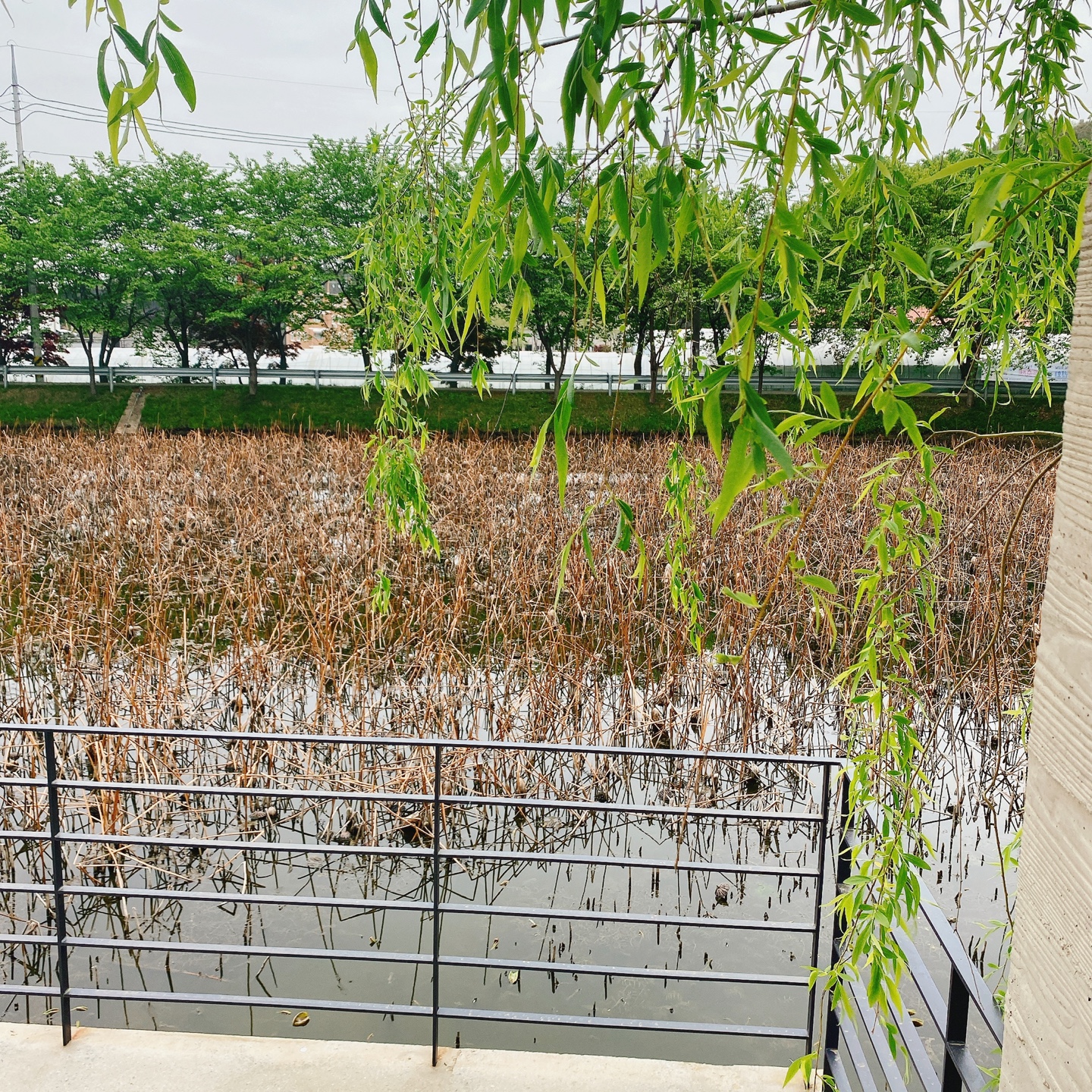 충북 청주 부모산 주봉마을 주봉저수지 한옥 북카페 인문아카이브양림 후마니타스