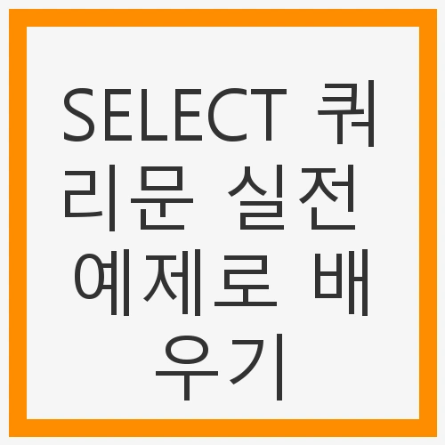 데이터베이스와 테이블 이해하기